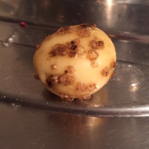 Scabby potato