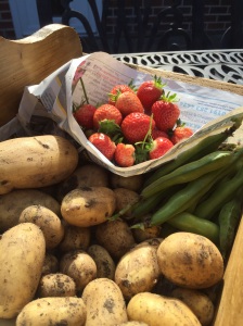Strawberries, potatoes and broad beans