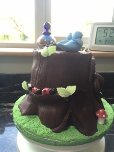 Side shots of the cake